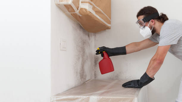 Professional Attic Mold Removal technician working in Allenwood, NJ